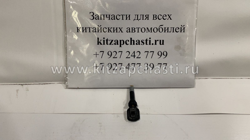 ДАТЧИК ДАВЛЕНИЯ ВОЗДУХА В КОЛЕСЕ A19FL/J69/T19/T1E  Chery  Tiggo 4 Pro 802000121AA